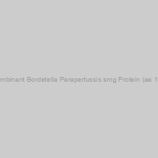 Image of Recombinant Bordetella Parapertussis smg Protein (aa 1-152)